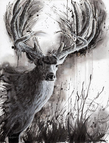 Paunsaugunt Prince    White Modern Wood Framed Art Print with Double Matting by Bawden, Angela