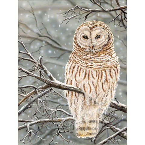 Snowy Owl Black Modern Wood Framed Art Print by Bawden, Angela