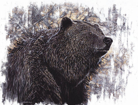 Big Griz Black Ornate Wood Framed Art Print with Double Matting by Bawden, Angela