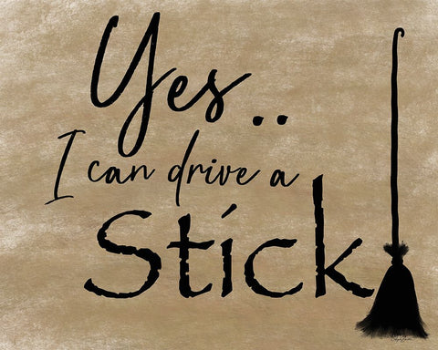 I Can Drive a Stick Black Modern Wood Framed Art Print by Bawden, Angela