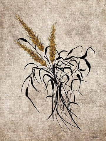 Wheat Grain White Modern Wood Framed Art Print with Double Matting by Bawden, Angela