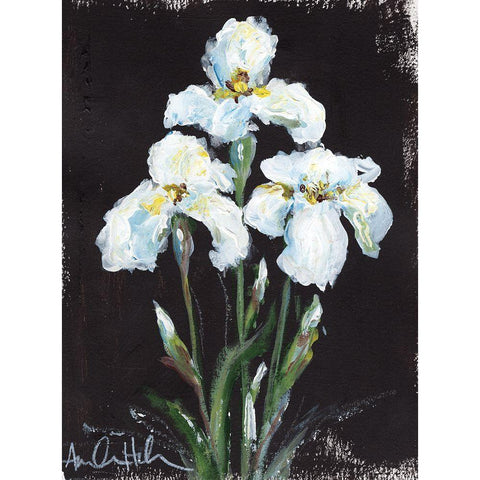 Contrasting Irises White Modern Wood Framed Art Print by Hilburn, Amanda