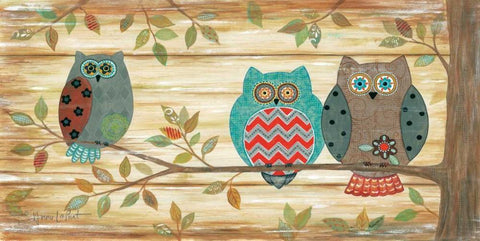 Three Wise Owls White Modern Wood Framed Art Print with Double Matting by LaPoint, Annie