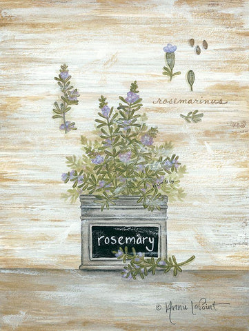 Rosemary Botanical Black Ornate Wood Framed Art Print with Double Matting by LaPoint, Annie