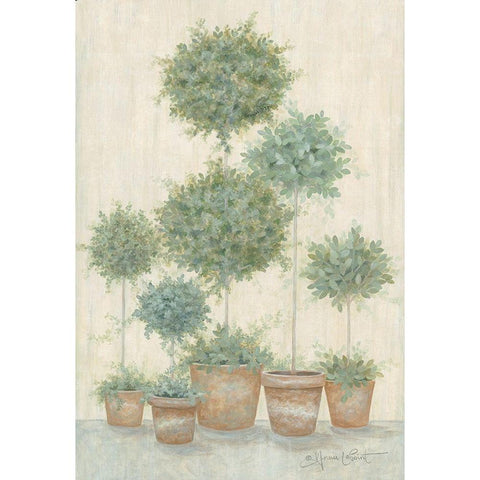 Tall Topiaries   White Modern Wood Framed Art Print by LaPoint, Annie