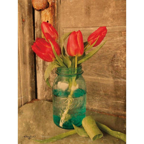 Country Tulips White Modern Wood Framed Art Print by Smith, Anthony