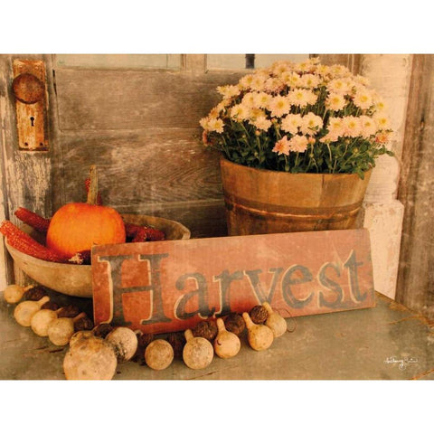 Autumn Harvest Black Modern Wood Framed Art Print with Double Matting by Smith, Anthony