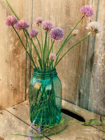 Country Chives White Modern Wood Framed Art Print with Double Matting by Smith, Anthony
