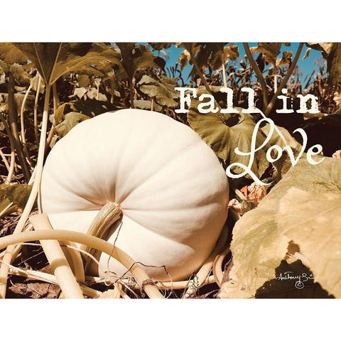 Fall in Love White Modern Wood Framed Art Print by Smith, Anthony