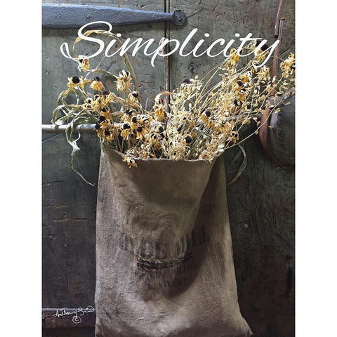 Simplicity Black Modern Wood Framed Art Print with Double Matting by Smith, Anthony