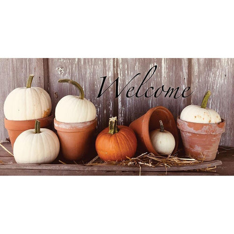 Welcome Pumpkin Shelf Gold Ornate Wood Framed Art Print with Double Matting by Smith, Anthony