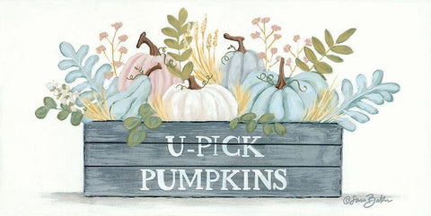 U-Pick Pumpkins Black Ornate Wood Framed Art Print with Double Matting by Baker, Sara