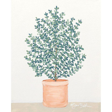 Eucalyptus White Modern Wood Framed Art Print by Baker, Sara