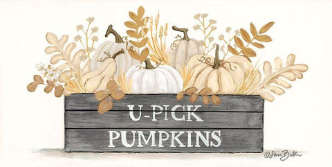 U-Pick Pumpkins     White Modern Wood Framed Art Print with Double Matting by Baker, Sara