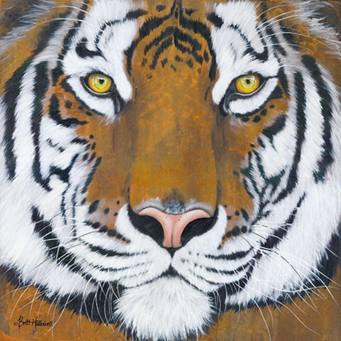 Tiger Gaze      White Modern Wood Framed Art Print by Hallowell, Britt