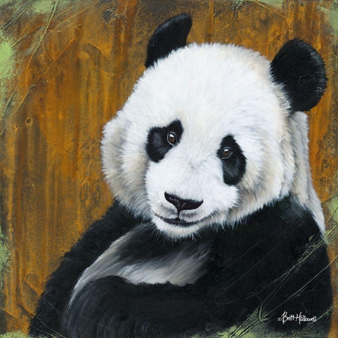 Panda Smile   Black Modern Wood Framed Art Print with Double Matting by Hallowell, Britt