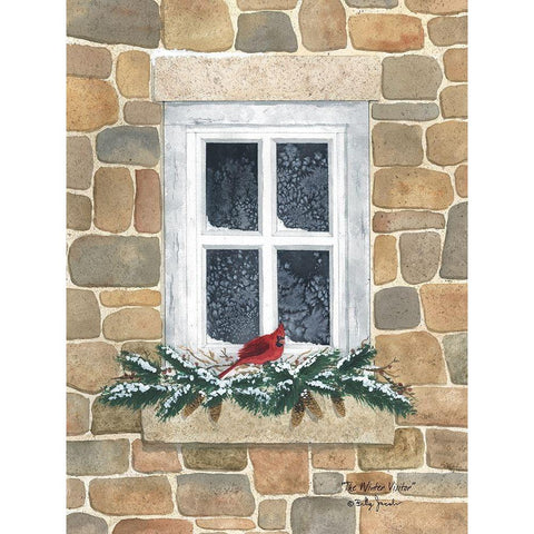 Winter Visitor White Modern Wood Framed Art Print by Jacobs, Billy