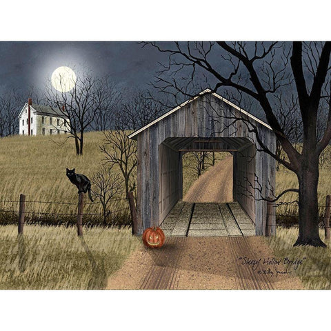 Sleepy Hollow Bridge Black Modern Wood Framed Art Print with Double Matting by Jacobs, Billy