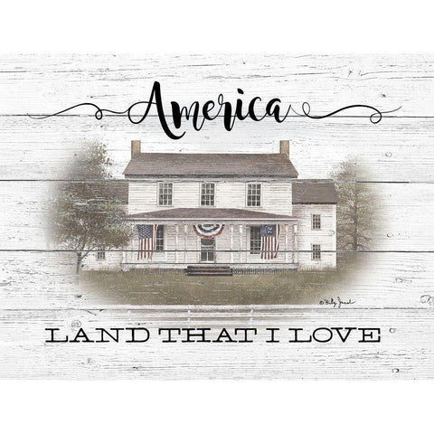 America White Modern Wood Framed Art Print by Jacobs, Billy