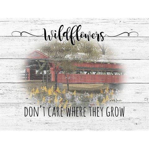 Wildflowers Black Modern Wood Framed Art Print with Double Matting by Jacobs, Billy