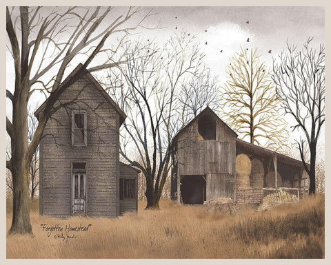 Forgotten Homestead        White Modern Wood Framed Art Print with Double Matting by Jacobs, Billy