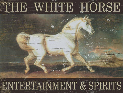 White Horse White Modern Wood Framed Art Print with Double Matting by Jacobs, Billy