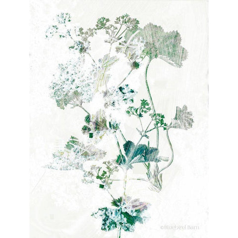 Geranium Botanical  White Modern Wood Framed Art Print by Bluebird Barn