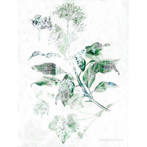 Verbena Botanical   White Modern Wood Framed Art Print by Bluebird Barn