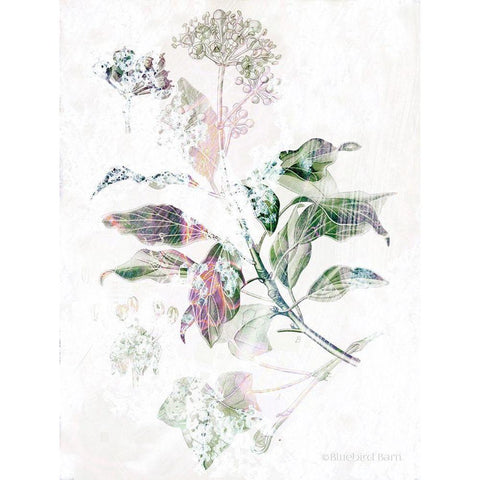 Boho Verbena Botanical    White Modern Wood Framed Art Print by Bluebird Barn