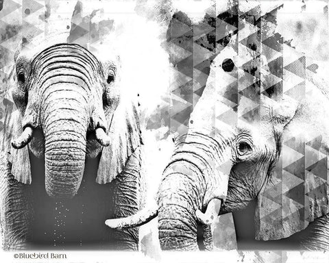 Modern Black And White Elephants White Modern Wood Framed Art Print with Double Matting by Bluebird Barn