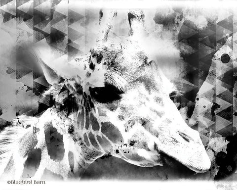 Modern Black And White Giraffe White Modern Wood Framed Art Print with Double Matting by Bluebird Barn