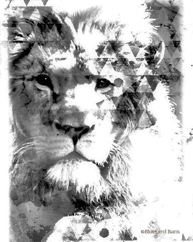 Modern Black And White Lion White Modern Wood Framed Art Print with Double Matting by Bluebird Barn