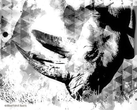 Modern Black And White Rhino Black Ornate Wood Framed Art Print with Double Matting by Bluebird Barn