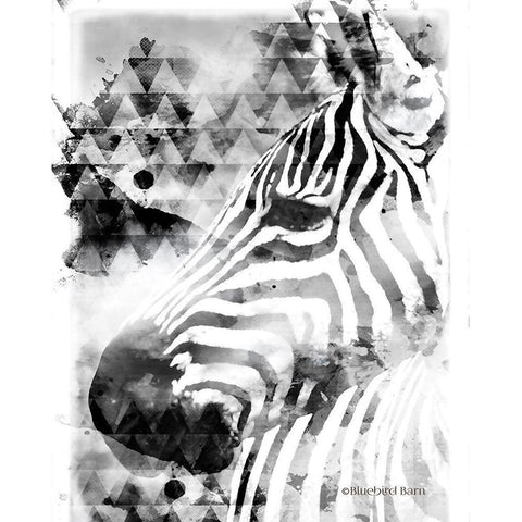 Modern Black And White Zebra Black Modern Wood Framed Art Print with Double Matting by Bluebird Barn