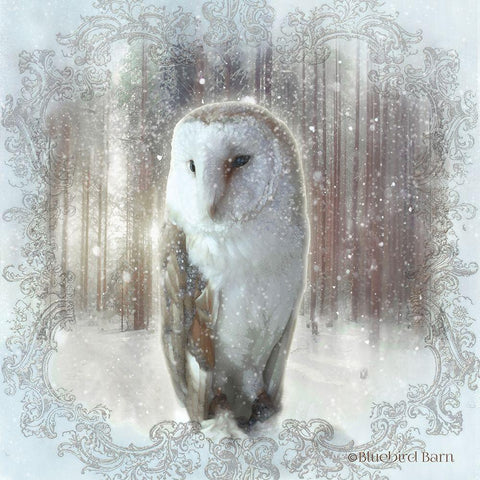 Enchanted Winter Owl    Black Ornate Wood Framed Art Print with Double Matting by Bluebird Barn