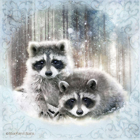 Enchanted Winter Raccoons   Black Ornate Wood Framed Art Print with Double Matting by Bluebird Barn