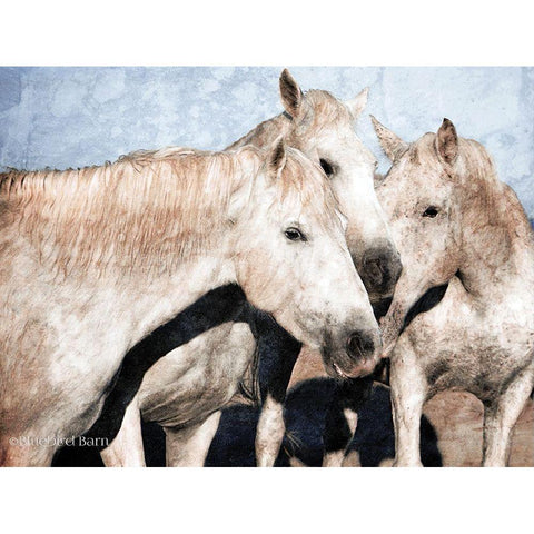 White Horse    Black Modern Wood Framed Art Print by Bluebird Barn