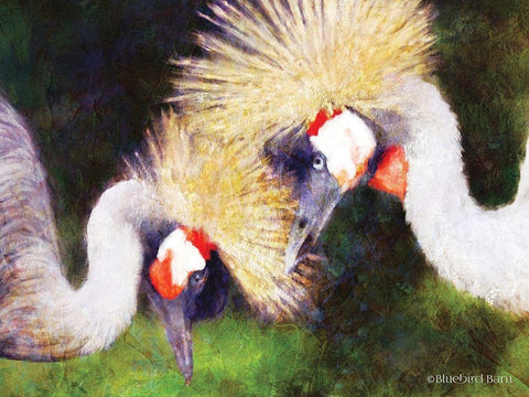 Two Cranes    Black Ornate Wood Framed Art Print with Double Matting by Bluebird Barn