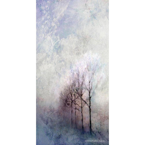 First Light Winter Forest Black Modern Wood Framed Art Print with Double Matting by Bluebird Barn