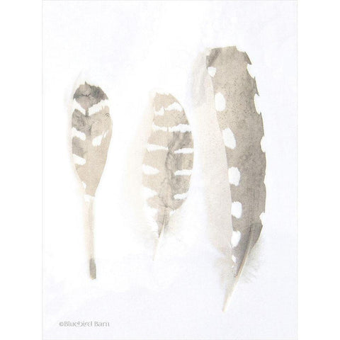 Neutral Feathers Study    White Modern Wood Framed Art Print by Bluebird Barn