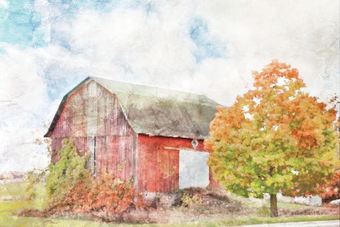 Autumn Maple by the Barn White Modern Wood Framed Art Print with Double Matting by Bluebird Barn