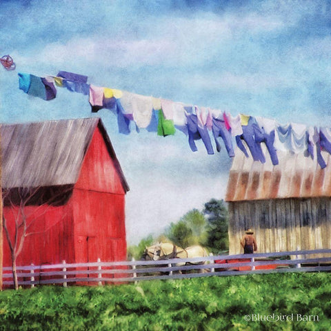 Clothesline Farm Black Modern Wood Framed Art Print with Double Matting by Bluebird Barn