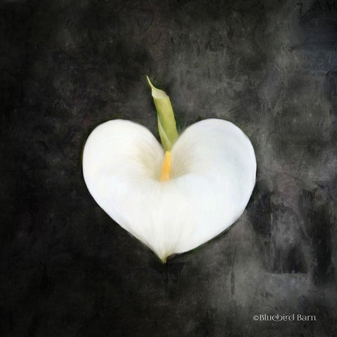 Contemporary Floral Cala Lily Black Modern Wood Framed Art Print by Bluebird Barn