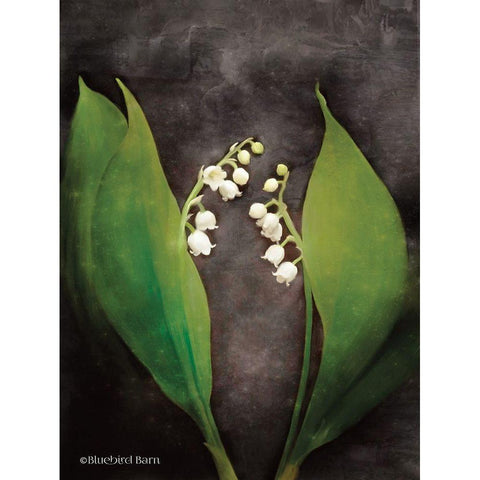 Contemporary Floral Lily of the Valley Gold Ornate Wood Framed Art Print with Double Matting by Bluebird Barn