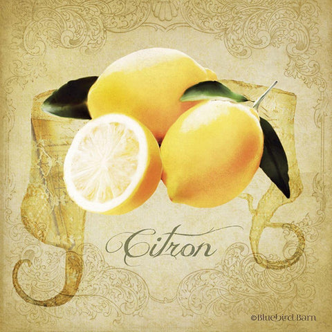 Vintage Lemons Citron Gold Ornate Wood Framed Art Print with Double Matting by Bluebird Barn