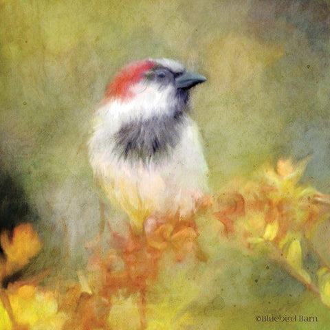 Backyard Bird in Autumn White Modern Wood Framed Art Print with Double Matting by Bluebird Barn