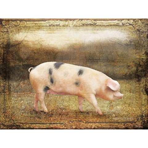 Vintage Sow Black Modern Wood Framed Art Print with Double Matting by Bluebird Barn