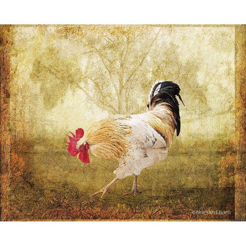 Vintage Scratching Rooster White Modern Wood Framed Art Print by Bluebird Barn