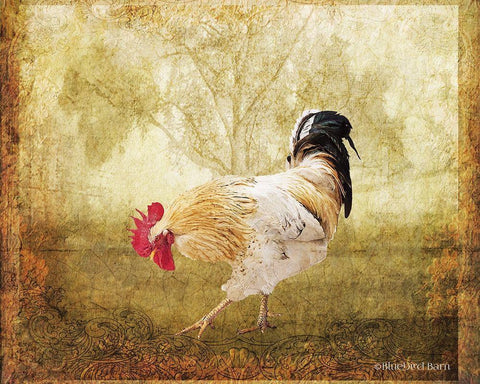 Vintage Scratching Rooster Black Ornate Wood Framed Art Print with Double Matting by Bluebird Barn