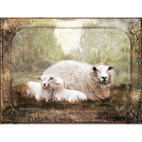 Vintage Ewe and Sleeping Lambs White Modern Wood Framed Art Print by Bluebird Barn